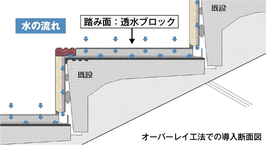 ハレダンの構造
