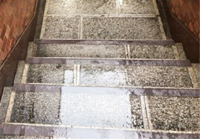 ハレダン導入前